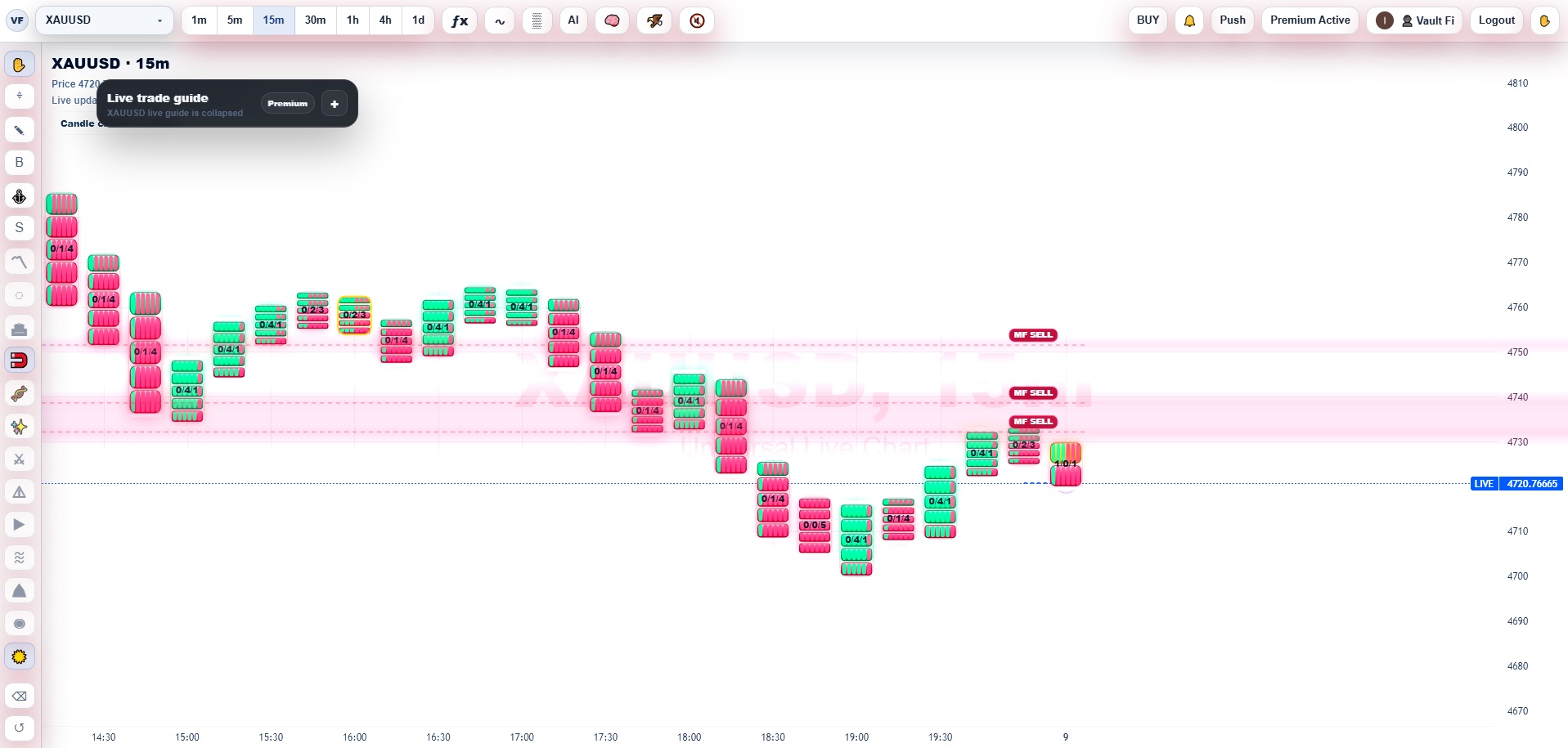 Magnetic Reaction Field